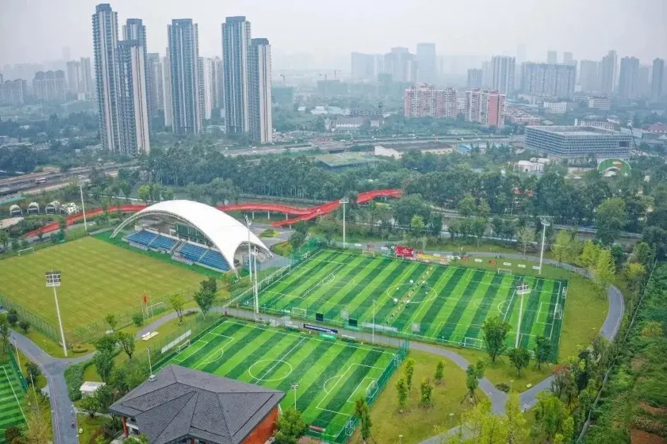 名曾在专业, 活动在此举